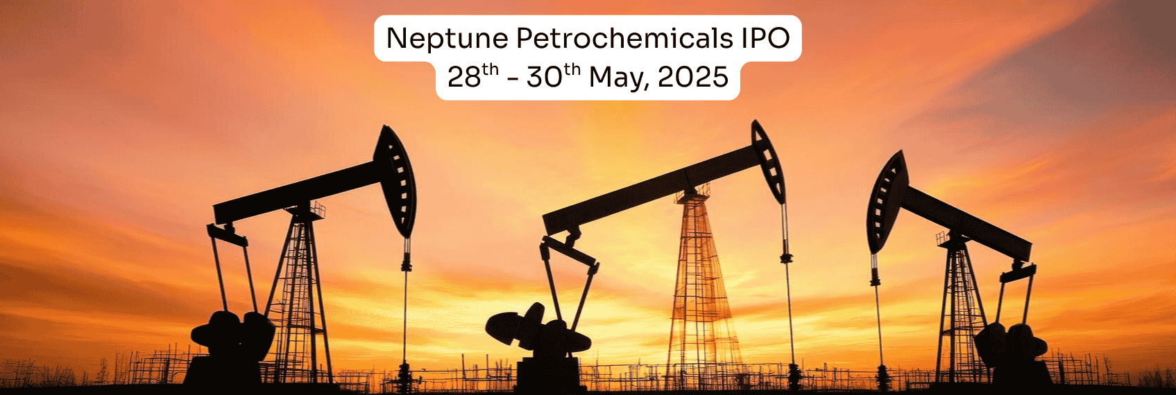 Neptune Petrochemicals IPO