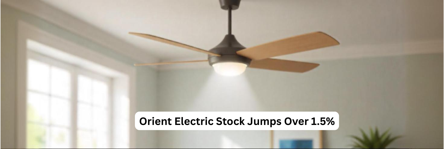 Orient Electric Stock Price Update