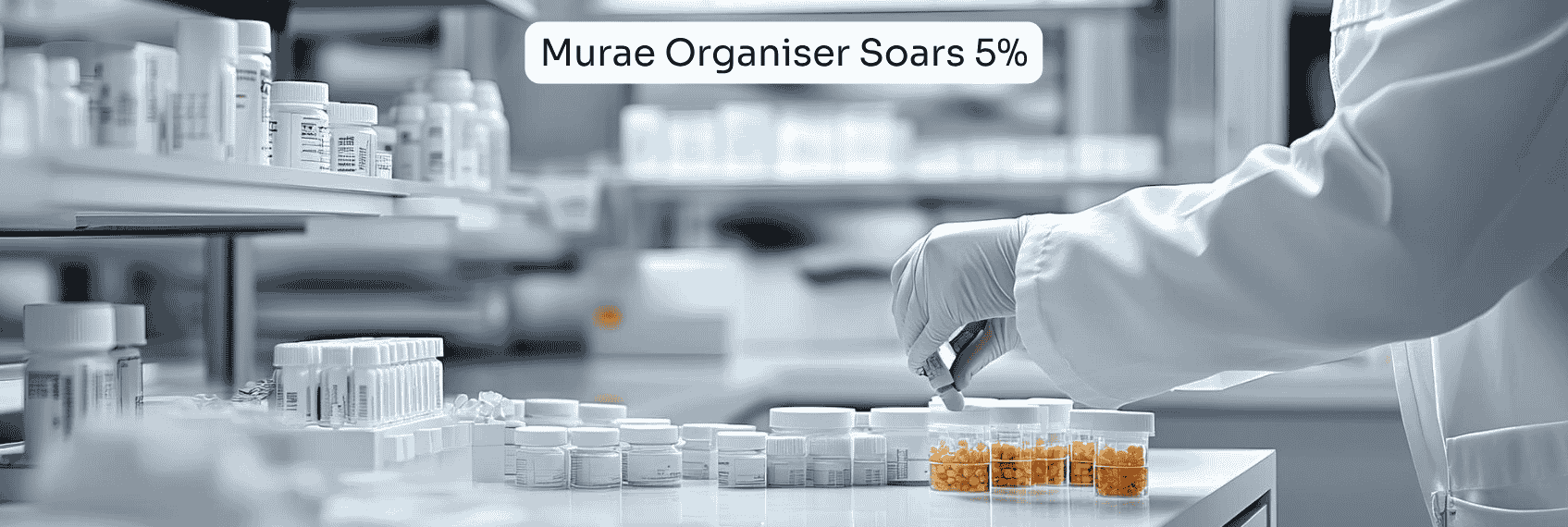 Murae Organiser Stock Price Soars 5%