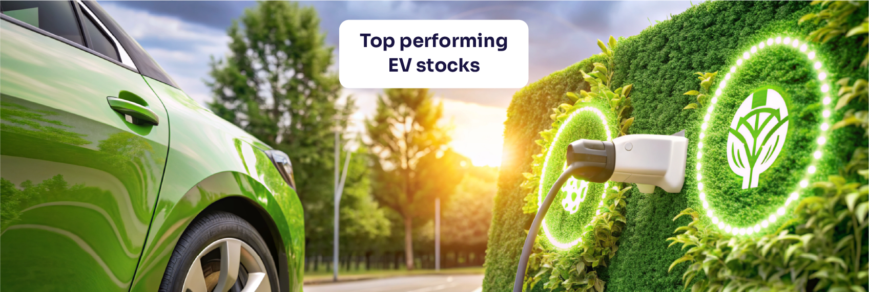 Top performing EV stocks