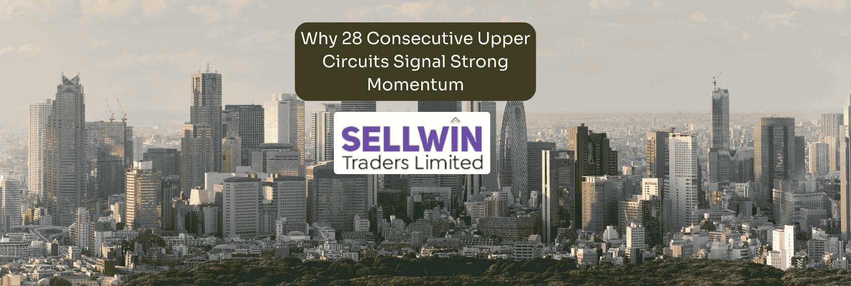 Why 28 Consecutive Upper Circuits Signal Strong Momentum