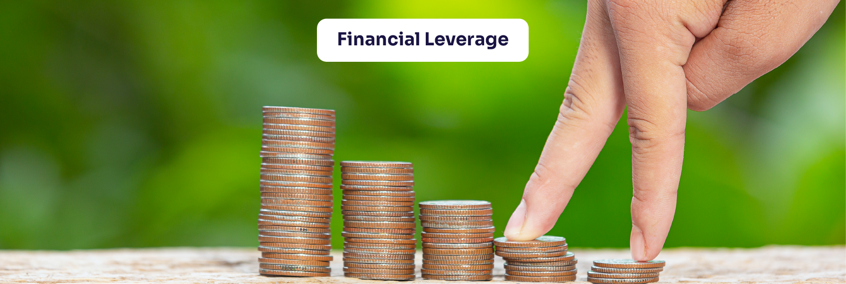 Financial Leverage