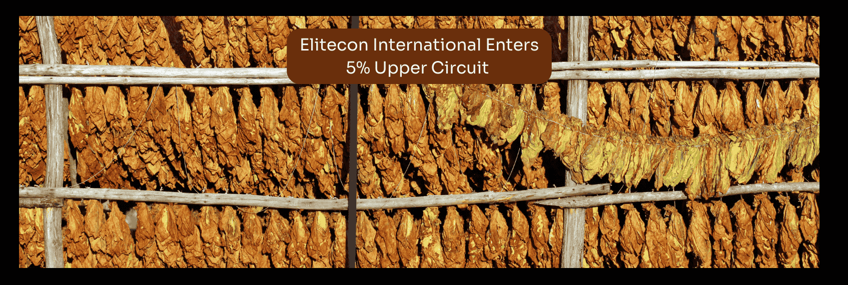 Elitecon International Enters 5% Upper Circuit