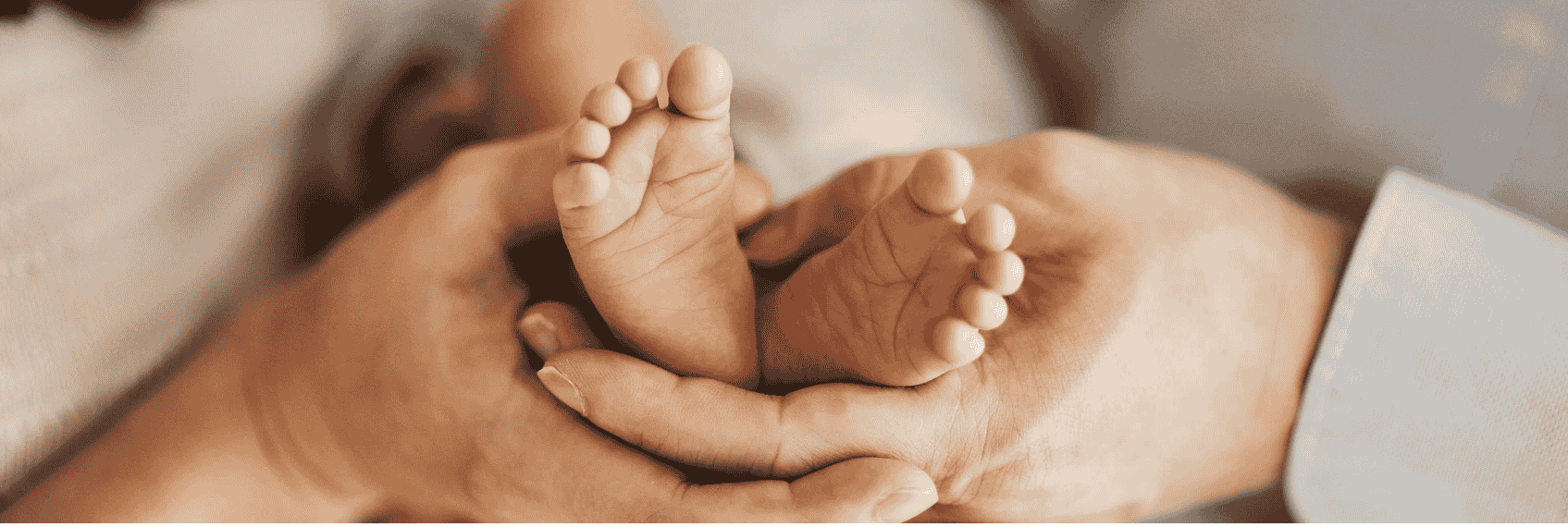 Gaudium IVF IPO ₹165 crore issue price band ₹75–79 listing on BSE NSE