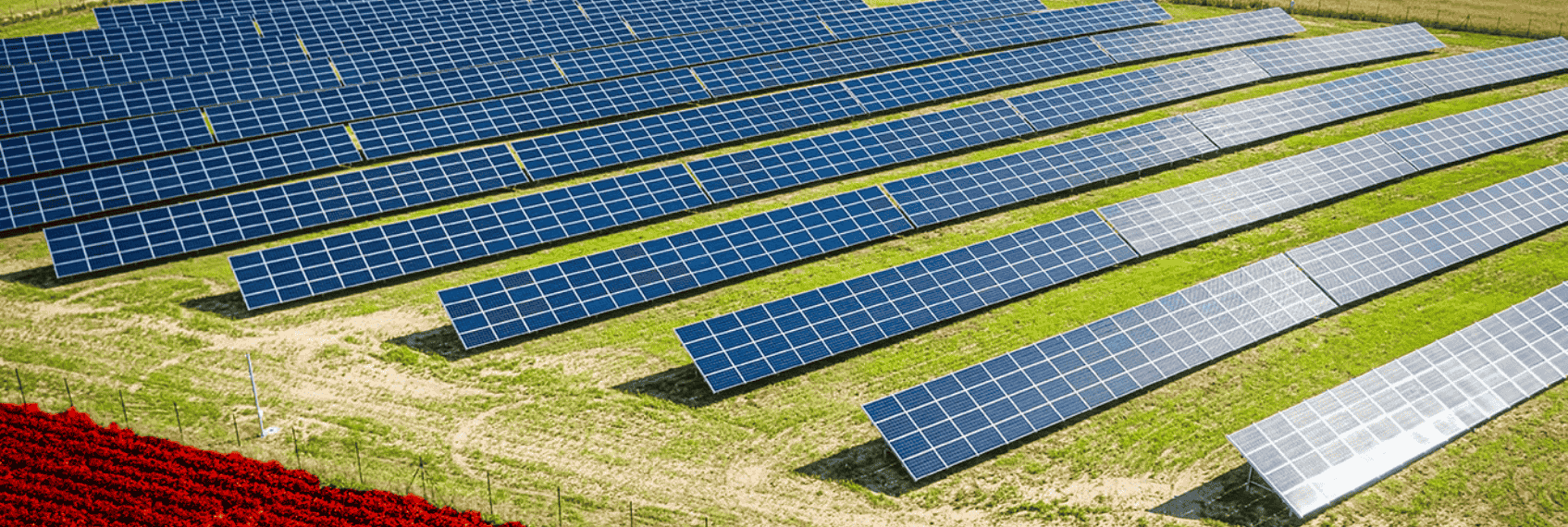 Hitachi Energy India share price surges after strong Q3 FY26 results and record order backlog