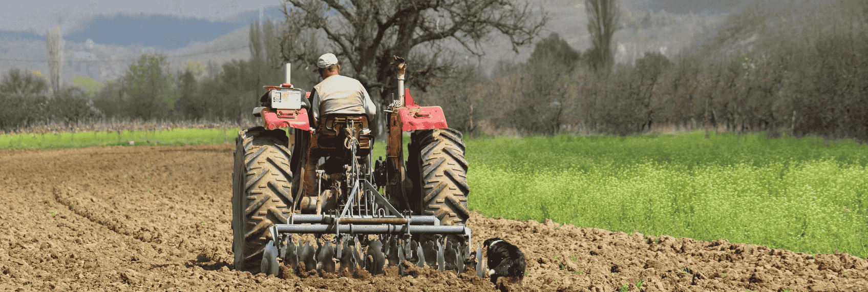 UPL share price decline after major restructuring announcement creating global crop protection platform