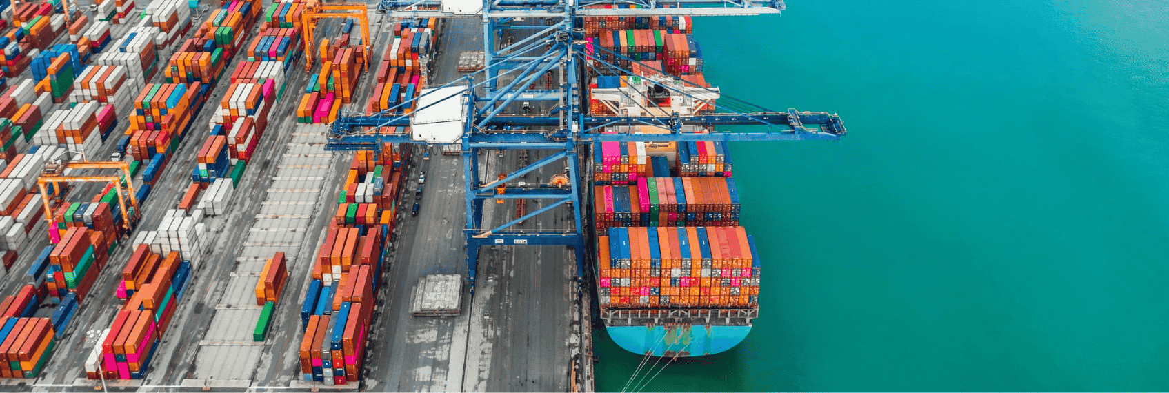 India Services PMI February 2026 at 58.1 with services sector growth and economic outlook chart