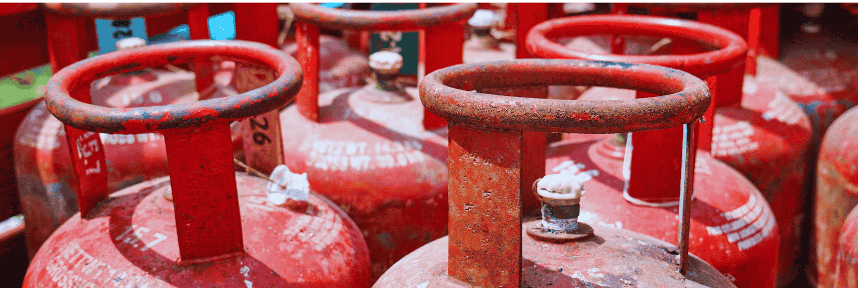 LPG shortage fears boost induction cooker stocks like Stove Kraft and TTK Prestige