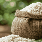 LT Foods share price surges over 9% as stock emerges among top Nifty 500 gainers