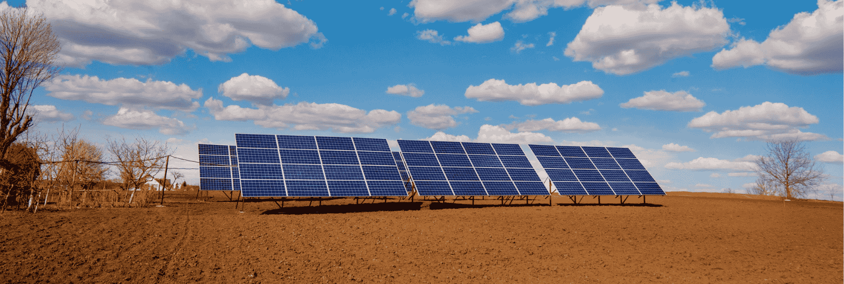 NTPC Green Energy share price surge leads power and renewable energy stocks rally in India