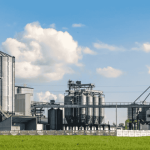 Sugar stocks surge after government approves additional export quota boosting Dalmia Bharat Sugar Shree Renuka Sugars and sector sentiment