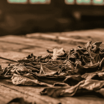 Elitecon International share price hits upper circuit after ₹2.02 billion export order deal