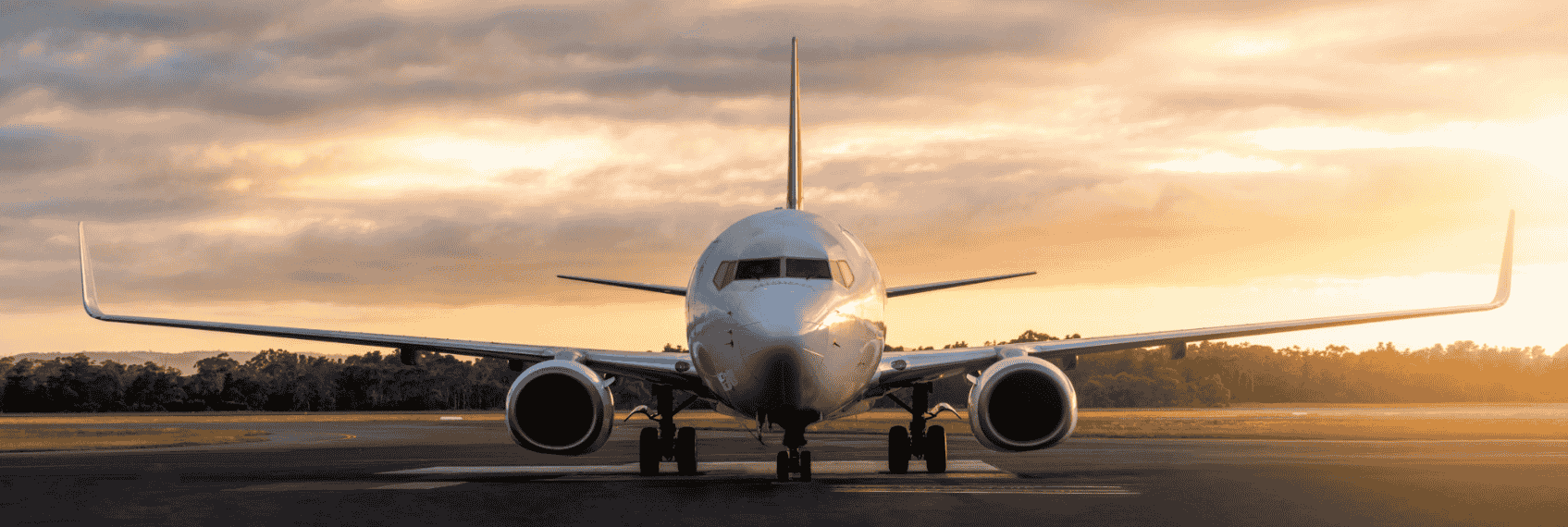 IndiGo Share Price Surges After Willie Walsh Named CEO; Aviation Stocks Gain